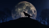 ¿Cuándo será la Luna de Lobo 2024?