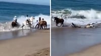 VIDEO: Jinetes se llevan un gran susto en playa de Mazatlán