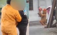 VIDEO: '¡Si te quiere, no te deja delinquir!' Policía disfrazado de oso gigante arresta a delincuente