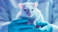 Un estudio en ratones asocia erecciones regulares con la prevención de la impotencia