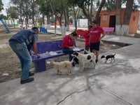 Continúa campaña de desparasitación de mascotas en Gómez Palacio