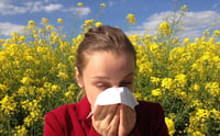Exhortan a no automedicarse ante las alergias
