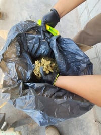 Decomisan paquetería con marihuana en Santiago Papasquiaro