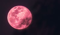 ¿Qué es y cuándo ver la Luna Rosa 2024?