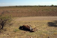 Sequía avanzó en 11 municipios