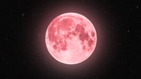 Luna Rosa 2024: ¿Por qué se le llama así al fenómeno astronómico?