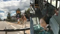 VIDEO: Ciervo choca contra el parabrisas de un autobús en Rhode Island
