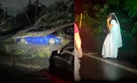 ¡Amiga, date cuenta!, árbol cae sobre pareja de recién casados | VIDEO