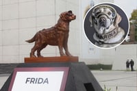 ¡Hasta siempre!, Semar recuerda a Frida, la perrita rescatista