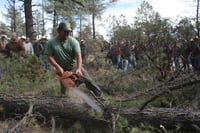 Plaga de gusano deja daños en 300 hectáreas del bosque en Durango