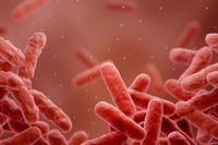 Confirman 20 casos de menores infectados por la bacteria Klebsiella oxytoca