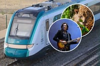 Tren Maya: Caifanes critica sacrificio de venados y jaguares por considerarlos ‘nocivos’