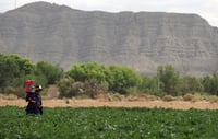 Piden impulsar captación de agua de las lluvias