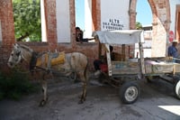 Continúa el empadronamiento de carromateros en Gómez Palacio