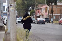 Clima en Durango: viento provocará sensación más fría