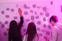Exhiben la muestra 'Sentio'