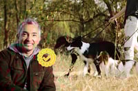 6 consejos de César Millán que debes seguir si te dedicas a pasear perritos | VIDEO