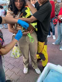 Buscan en Gómez Palacio prevenir males transmitidos por garrapatas