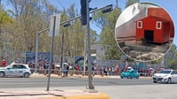 Sorprenden visitantes al Zoológico Sahuatoba; mayoría quiere conocer al nuevo capibara