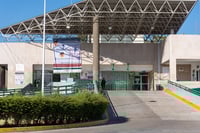 Atropellada murió en el hospital 