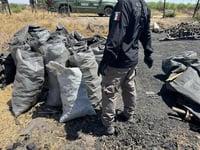 Catearon vivienda en Durango por caso de tala ilegal 