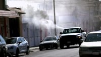 Dengue en 2025: más casos que en 2024 