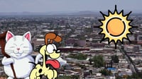¿Cómo evitar un golpe de calor en perros y gatos? Aquí te contamos 