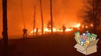Inician colecta para apoyar a brigadistas que combaten fuerte incendio en Tepehuanes