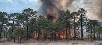 Incendio sin control azota a Tepehuanes 