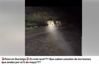 ¿Leones sueltos en Durango? Video, supuestamente del poblado 5 de Mayo, genera dudas