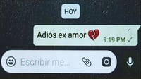 Adiós ex...hola terapia y pestañas postizas