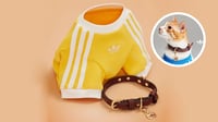 Adidas Originals: Así se ve la nueva línea de ropa para mascotas