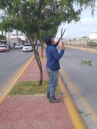 Limpian bulevares en Gómez Palacio