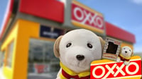 Peluchoxxos del Oxxo: ¿Qué son y dónde los puedo comprar? Aquí te contamos