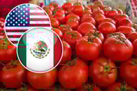 EU confirma entrada en vigor de cobro de al jitomate mexicano; será de 17%