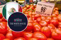 Casa Blanca afirma que aranceles al jitomate mexicano 'están impulsando a agricultores de EU'