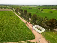 Buscan producir más alimentos con menos agua en la región lagunera