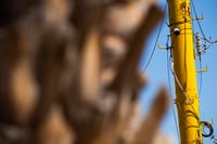 Seguridad Pública justifica el uso razonable de videocámaras