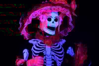 Alistan el espectáculo ‘Calaqueando’ para este fin de semana | ¿Dónde y a qué hora verlo?