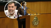 Carlos Manzo: Lilly Tellez llama ‘cobarde’ e ‘imbécil’ a Noroña en el pleno del Senado | VIDEO