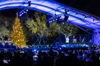 Trump y Melania encienden el árbol navideño de la Casa Blanca; 'la religión está volviendo a EU', dice