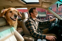 ¿Te pueden multar por llevar a tu perro en el carro? Esto es lo que sí aplica en México