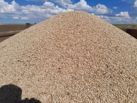 Hasta el 2026 anuncian acopio total de frijol en Durango