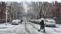 Estados Unidos: Nueva York amanece con la primera nevada de la temporada
