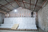Importan frijol, pero el de Durango no se comercializa