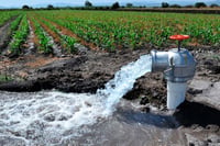 Solo el 13% de los pozos agrícolas en Durango se han registrado al PEUA