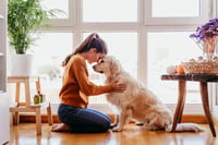 Razones para tener una mascota