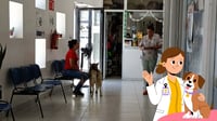 Aumenta atención veterinaria en Durango: en 2025 atendieron a casi 20 mil mascotas