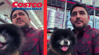 'Viejo ridículo': joven lleva a su perro a Costco, recibe duras críticas y su respuesta es viral