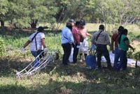 Diputada señala omisiones por parte de la CNDH